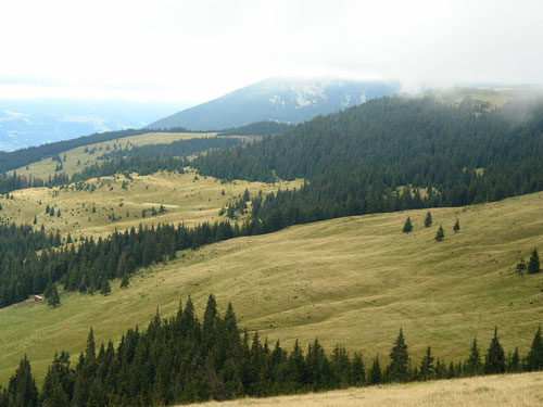 Foto Nordicele pajisti si Taul (c) Petru Goja